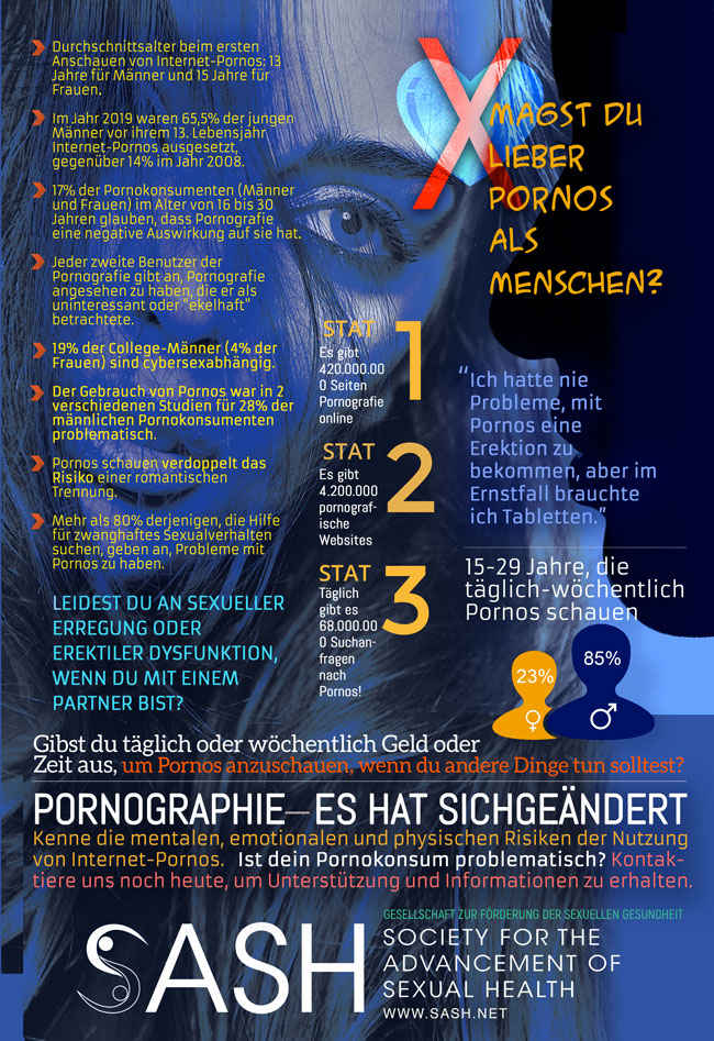 German- Pornography - It Has Changed Info Graphic